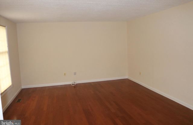 10317 STEAMBOAT LANDING LANE Gallery 3