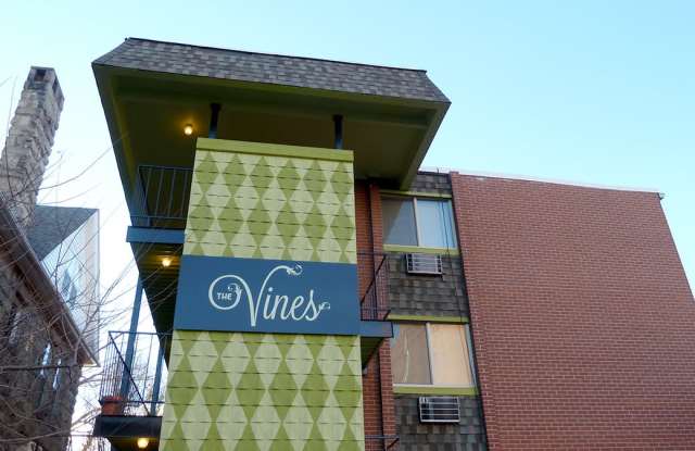 Vines photos photos
