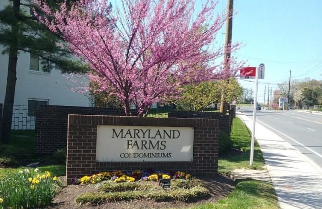 11312 CHERRY HILL ROAD - 11312 Cherry Hill Road, Beltsville, MD 20705