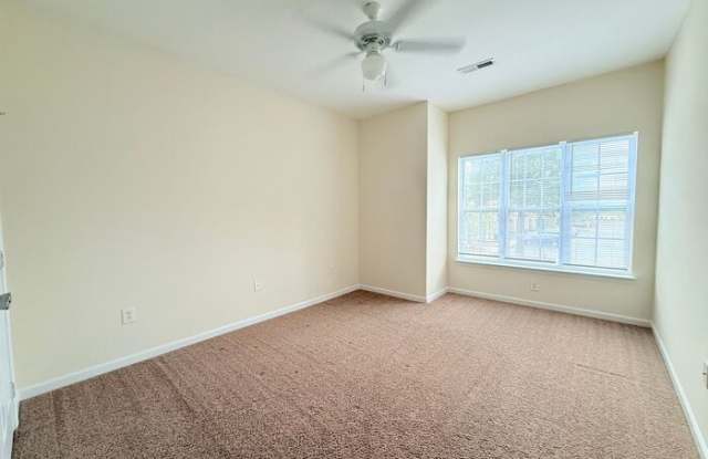132 Maynard Summit Way Gallery 4