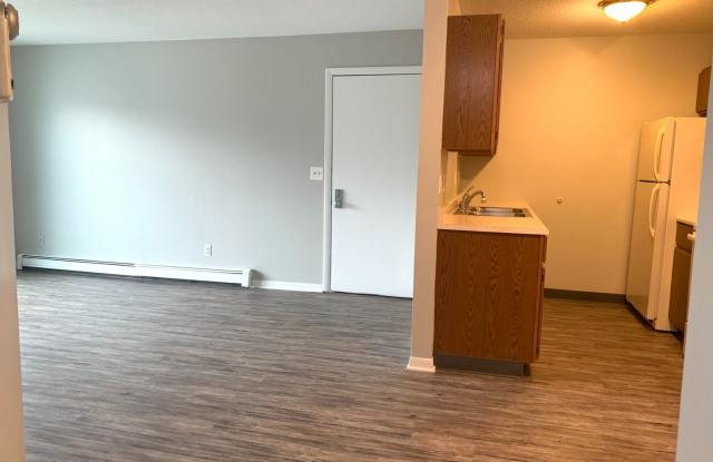 Large One Bedroom Apartment with Laundry in Unit! Gallery 3