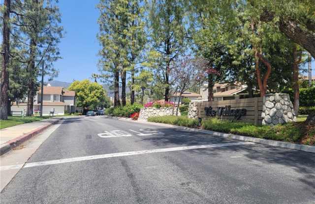 941 Lotus photos photos