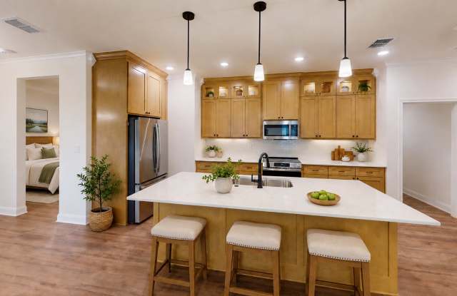 Single Family Home- The Houston photos photos
