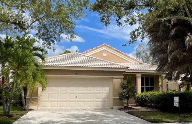 824 SAVANNAH FALLS DR photos photos