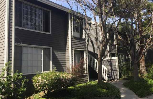 25423 Pine Creek Lane Gallery 4