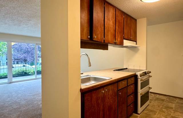 Leschi Lakeview Gallery 2
