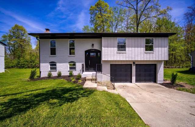 1542 Lemontree Drive photos photos