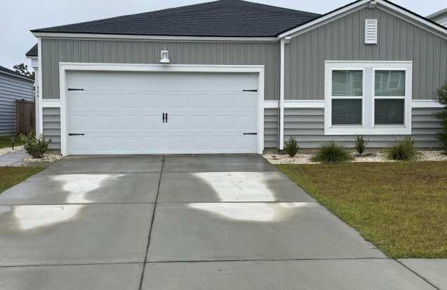 406 American Goldfinch Way - 406 American Goldfinch Way, Berkeley County, SC 29461