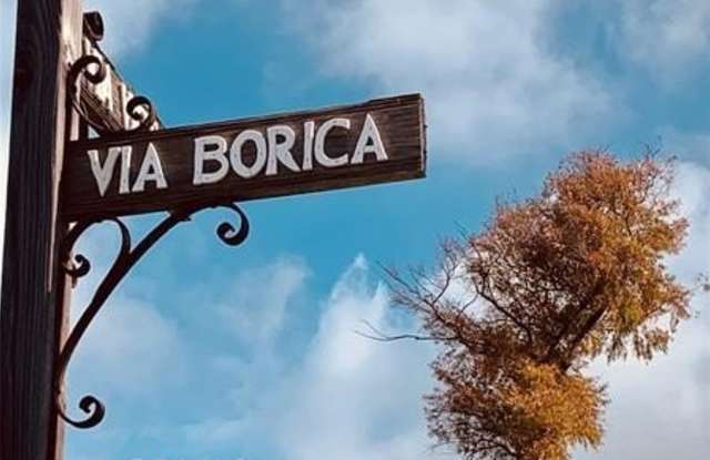 3006 Via Borica photos photos