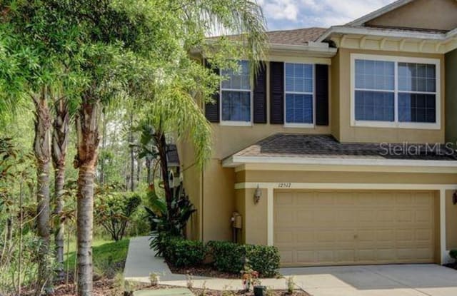 12517 SILVERDALE STREET - 12517 Silverdale Street, Keystone, FL 33626