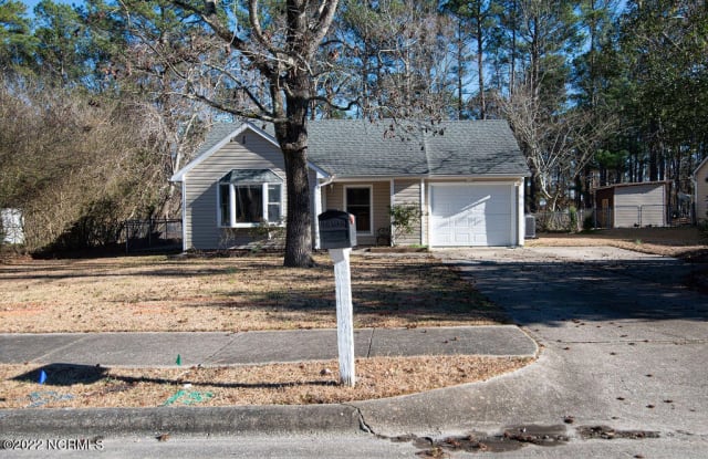 111 Tiffany Place - 111 Tiffany Place, Jacksonville, NC 28546