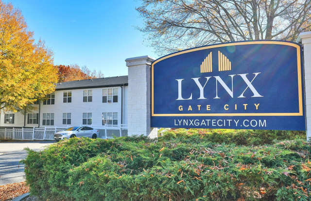 LYNX Gate City Gallery 2
