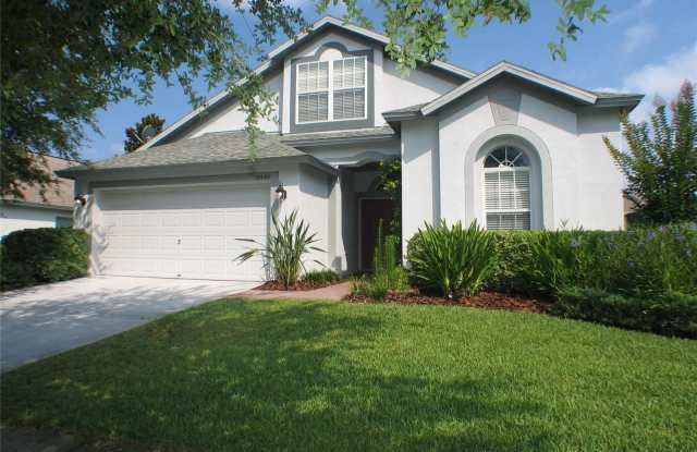 15438 MARTINMEADOW DRIVE - 15438 Martinmeadow Drive, Fish Hawk, FL 33547