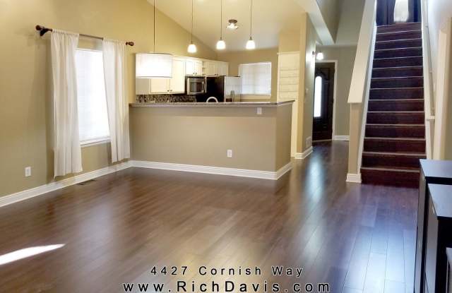 4427 Cornish Way Denver County Gallery 4