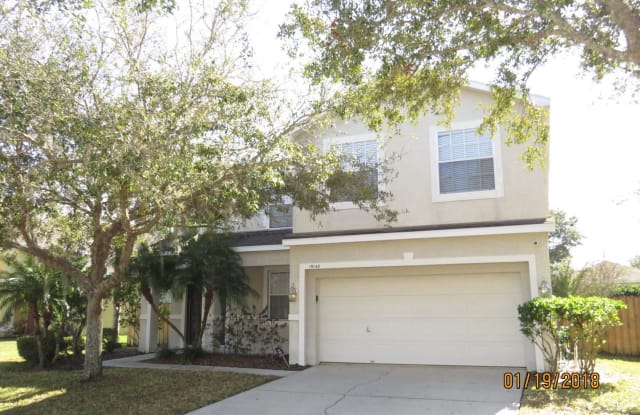 19149 Dove Creek Dr - 19149 Dove Creek Drive, Tampa, FL 33647