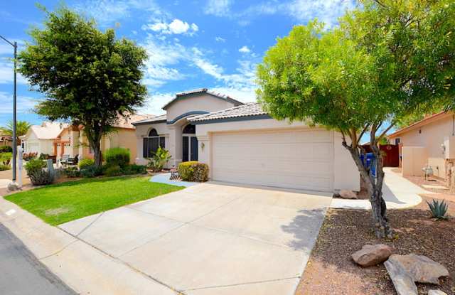 11556 West Sand Trout Court Gallery 2