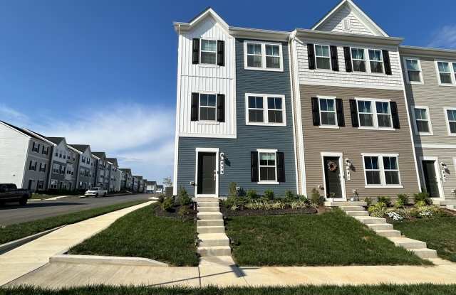 439 17th Avenue - . Gallery 3