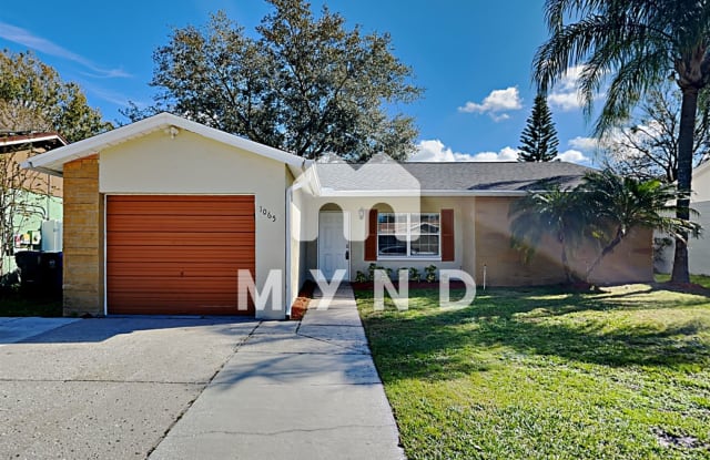 1065 Bridlewood Way - 1065 Bridlewood Way, Brandon, FL 33511