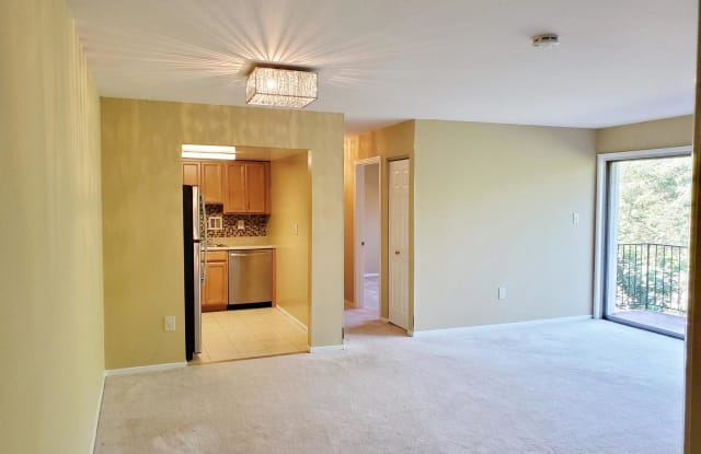 10303 45TH PLACE - 10303 45th Place, Beltsville, MD 20705
