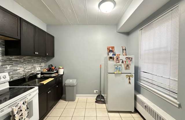 1358 Touhy Gallery 2