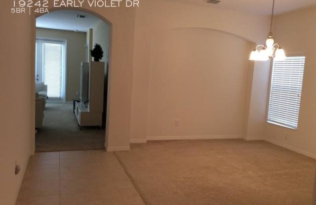 19242 EARLY VIOLET DR Gallery 2