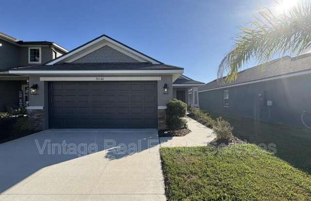 36140 Trinity Glade Rd - 36140 Trinity Glade Road, Dade City, FL 33525