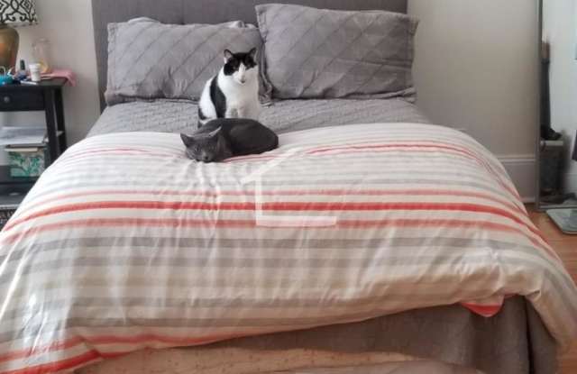 6 Bellvista Rd. photos photos