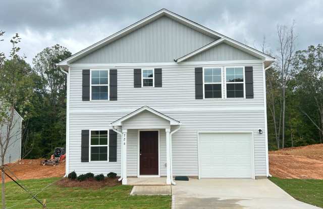 Brand NEW Two-Story 4 bedroom 2.5 bath Home in Asheboro with 1 car garage/Flex room Gallery 1