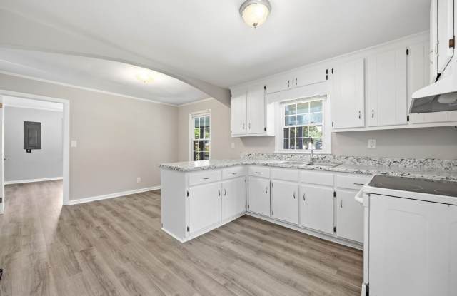 Newly Remodeled Erwin - No Carpet! Gallery 4