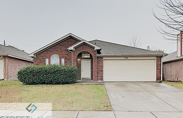 3010 San Frando Drive - 3010 San Frando Drive, Arlington, TX 76010