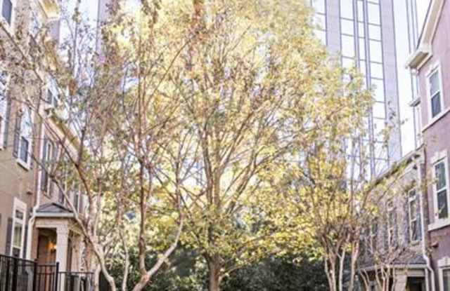 512 Perimeter Walk Gallery 2