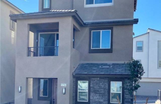 11714 Stone Curlew Avenue - 11714 Stone Curlew Avenue, Las Vegas, NV 89138