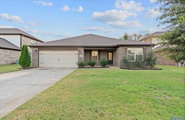 118 Beaver Brook Place - 118 Beaver Brook Place, Madison County, AL 35773