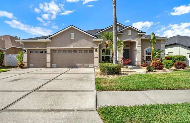 22647 Eagles Watch Drive - 22647 Eagles Watch Drive, Land O' Lakes, FL 34639