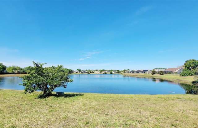 2416 WINFIELD DRIVE - 2416 Winfield Drive, Kissimmee, FL 34743 2416 WINFIELD DRIVE - 2416 Winfield Drive, Kissimmee, FL 34743