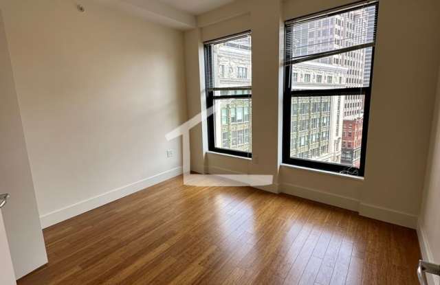 Renovated 2 bed/1 bath in Downtown Boston photos photos