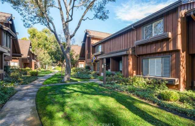 1507 Dalmatia photos photos