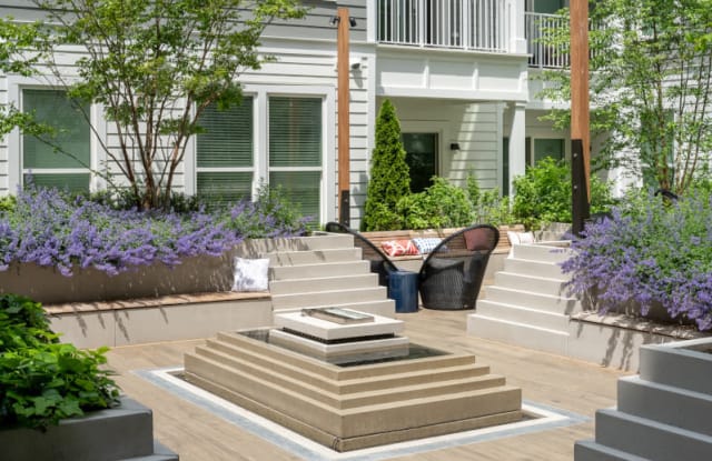 Chevy Chase Lake Gallery 2