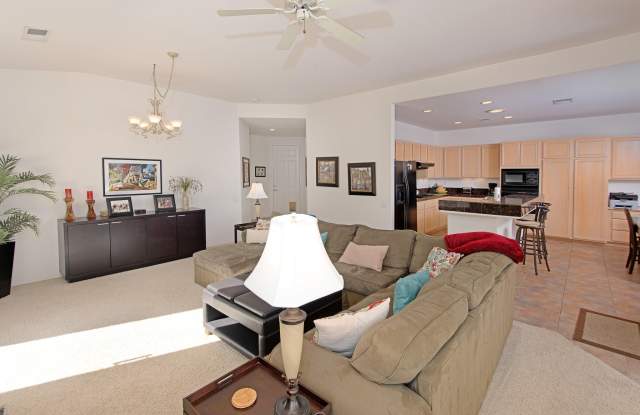 29488 W Laguna Drive Gallery 4
