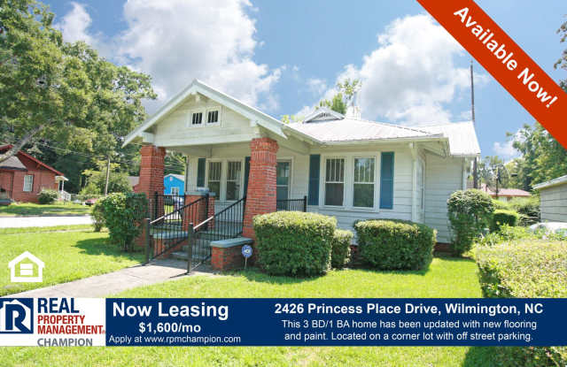 Charming 3 BD/1 BA Home with Fresh Updates and Central Wilmington Location! - 2426 Princess Place Drive, Wilmington, NC 28405