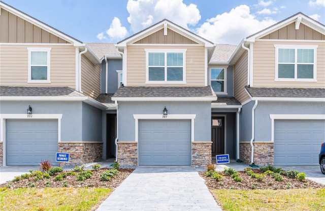 987 SPRING PALMS LOOP photos photos