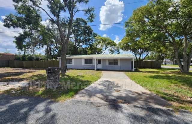 7826 Bolam Avenue - 7826 Bolam Avenue, New Port Richey East, FL 34653