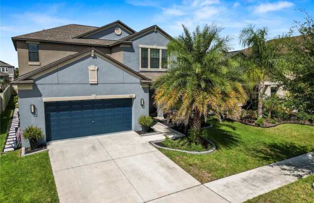 13917 ROSEATE TERN LANE - 13917 Roseate Tern Lane, Riverview, FL 33579
