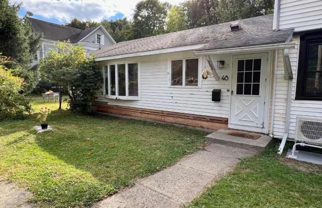 48 Austerlitz Street - 48 Austerlitz Street, Chatham, NY 12037