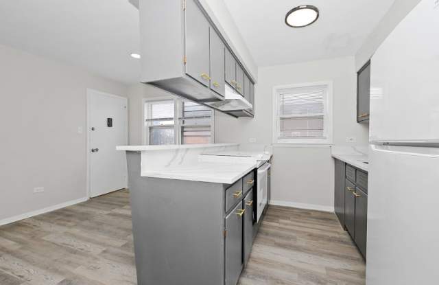 2830 W 87th St - 2830 West 87th Street, Chicago, IL 60652