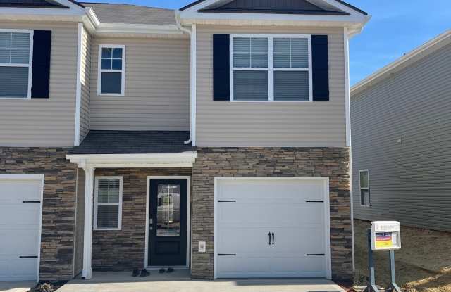 42 Moon Rock Court - 42 Moon Rock Court, Johnson City, TN 37615