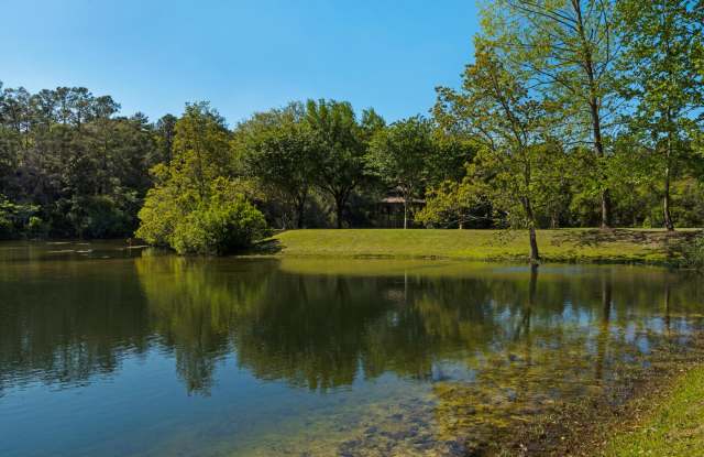 1504 Big Creek Cove photos photos