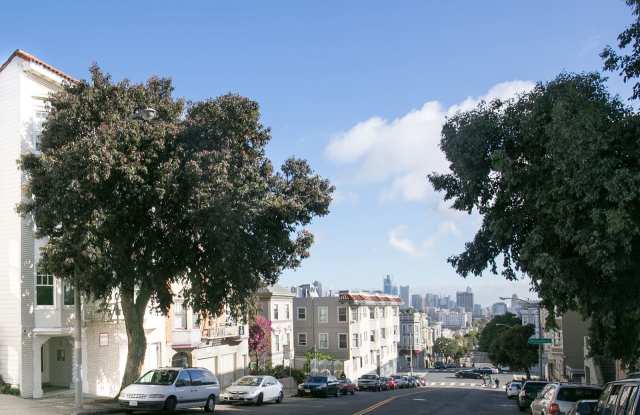 1760 Golden Gate Gallery 4