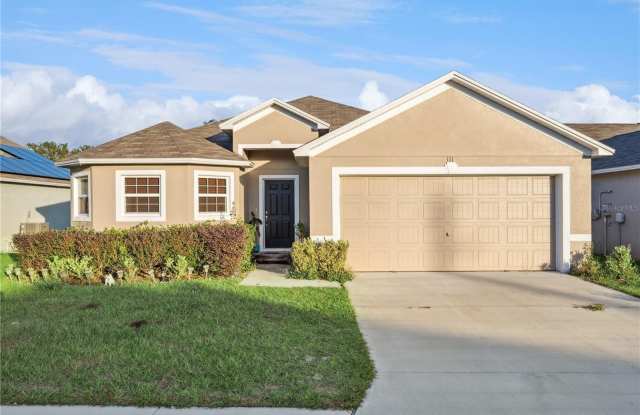 111 BLACK SKIMMER LANE photos photos