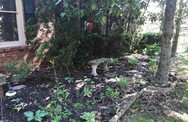 1029 Rollingwood Ln Gallery 4